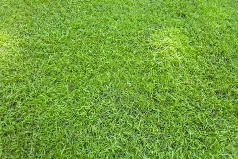 Artificial grass Foto stock