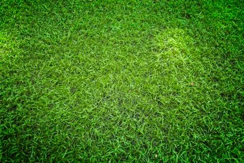 Artificial grass Stock Photos
