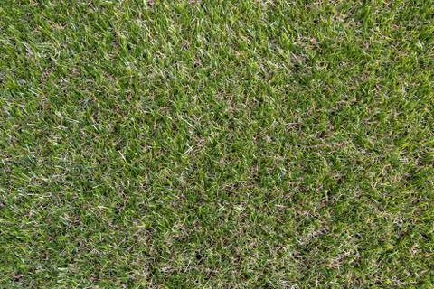 Artificial grass Stock Photos
