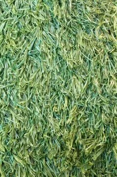 Artificial grass Stock Photos