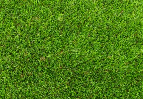 Artificial grass Stock Photos