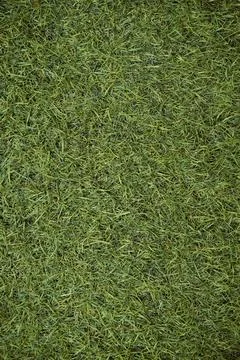 Artificial grass Stock Photos