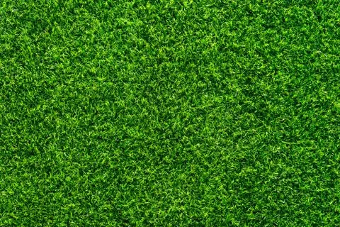Artificial grass texture, Artificial grass background. Stock Photos