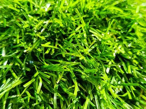 Artificial Grass Texture Background Bright Green Synthetic 스톡 사진