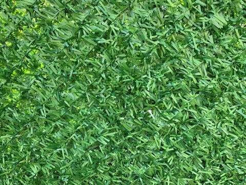 Artificial Grass Texture Background Stock Photos