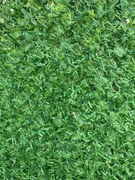 Artificial Grass Texture Background Stock Photos