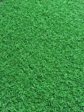 Artificial Grass Texture - Green Turf Close-Up for Background and Design Stock-Fotos