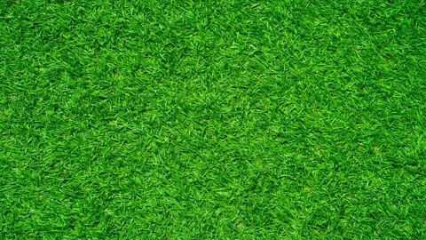 Artificial grass texture on move and pan camera to animate artificial grass text Stock-Footage 132595368