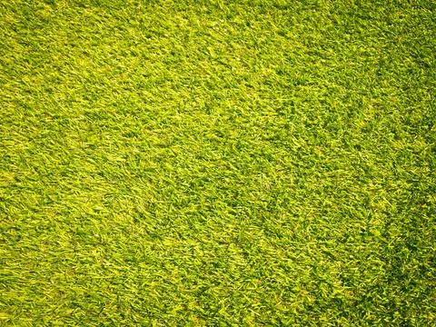 Artificial grass texture space background Stock Photos
