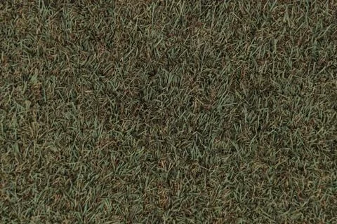 Artificial grass textured for background Stock Photos
