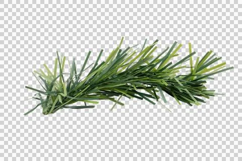 Artificial grass tuft blades isolated on transparent PNG background Stock Photos