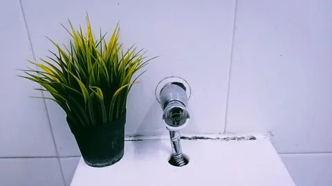 Artificial grass in a vase Stock Photos