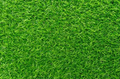Artificial green Grass for background Stock Photos