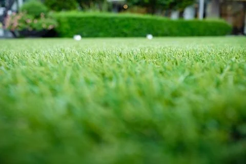 Artificial green grass for background Stock Photos