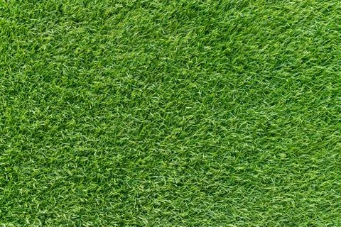 Artificial green grass background texture Stock Photos