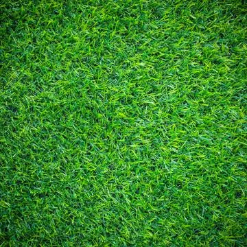 Artificial green grass. Foto stock