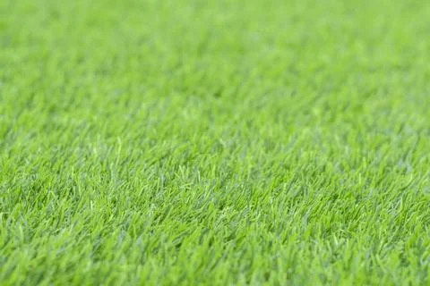 Artificial green grass Stock Photos