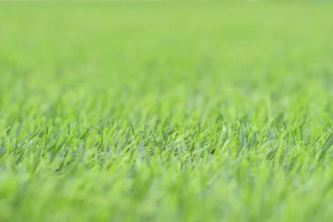 Artificial green grass Stock-Fotos