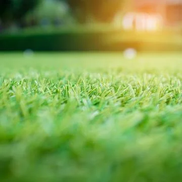 Artificial green grass with sunlight effect for background Stock Photos