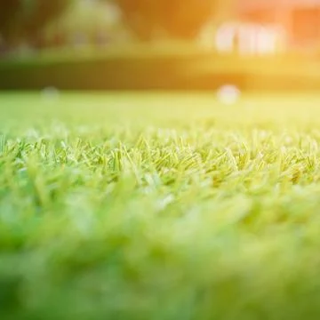 Artificial green grass with sunlight effect for background Foto stock