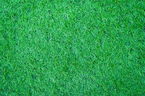 Artificial green grass texture for background Stock Photos
