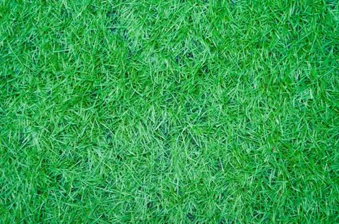 Artificial green grass texture for background Stock Photos