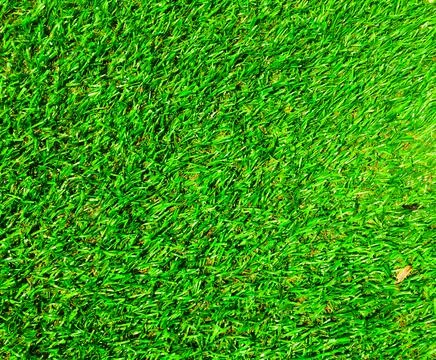 Artificial green grass texture background with copy space for work and design Stock-Fotos