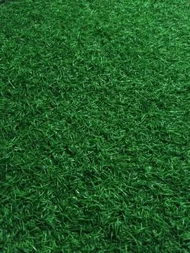 Artificial Green Grass Texture Close-Up. 스톡 사진