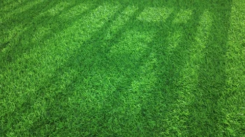 Artificial green grass with a uniform, dense texture under bright sunlight. Vidéo 333876810
