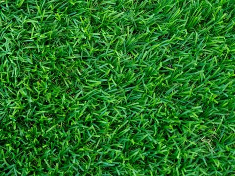 Artificial green grass using for background or texture Stock Photos