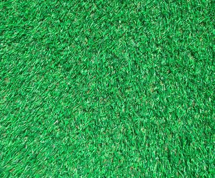 Artificial green lawn backyard for background. Texture for design Foto stock
