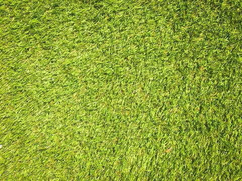 Artificial green lawn backyard for background. Texture for design 스톡 사진