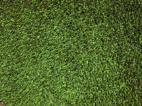 Artificial green lawn backyard for background. Texture for design Foto stock