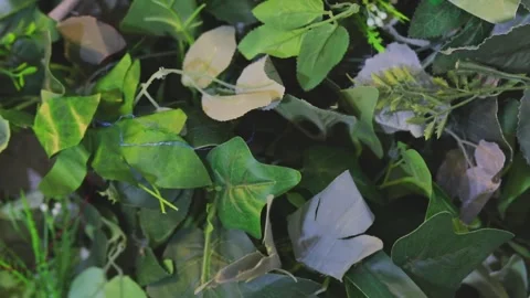 Artificial green leaves on the ground Stock Footage 326201278