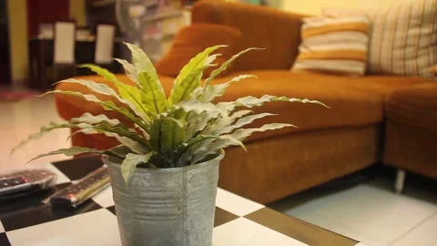 Artificial green plants in silver aluminiam pots Placed on the table next to the Stock Footage 154338116