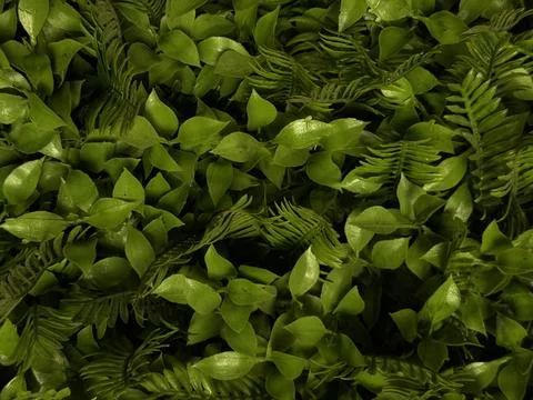 Artificial green wall with lush plastic leaves and foliage texture perfect .. Stock Photos