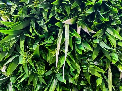 Artificial greenery wall background, lush faux plant texture for interior d.. Stock-Fotos