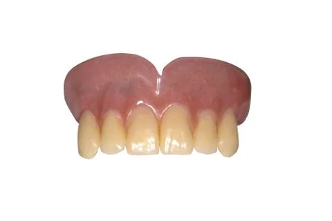 Artificial gums with teeth Stock Photos