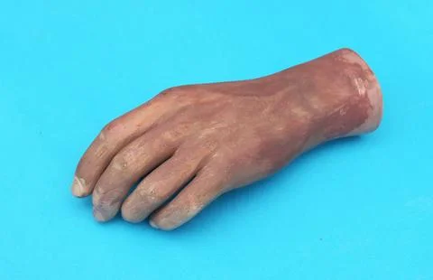 Artificial hand from a mannequin. Stock Photos
