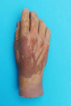 Artificial hand from a mannequin. Stock Photos