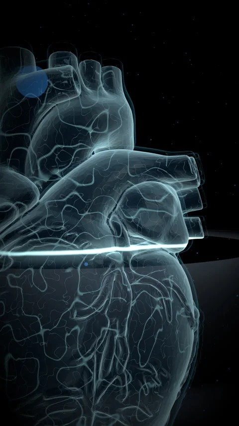 Artificial Heart Chamber Pulse, Vertical Video 9:16 4K Stock Footage 336362989