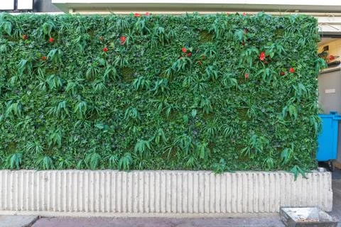 Artificial Hedge Green Stock Photos