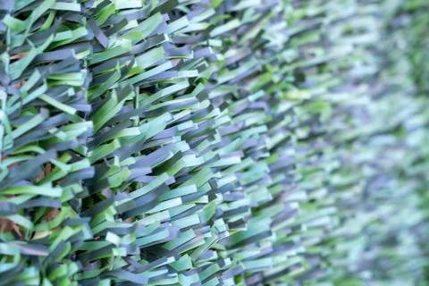 Artificial hedge. Green texture. . Stock Photos