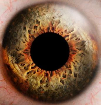 Artificial Human Eye, close up Stock Photos