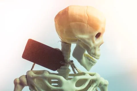 Artificial human skeleton with a label tag on the neck Stock Photos