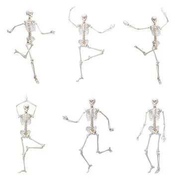 Artificial human skeleton model in different poses isolated on white, set Stock Photos