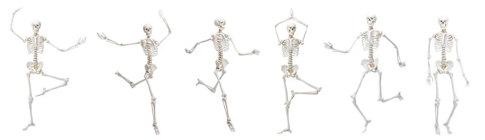 Artificial human skeleton model in different poses isolated on white, set Stock Photos