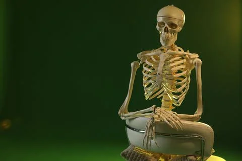 Artificial human skeleton model sitting and chair on green background, spac.. Stock Photos