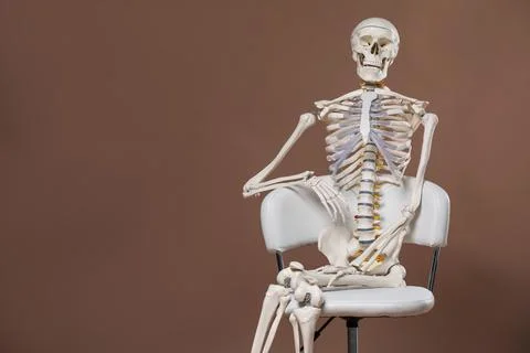 Artificial human skeleton model sitting on chair against light brown backgr.. Stock Photos