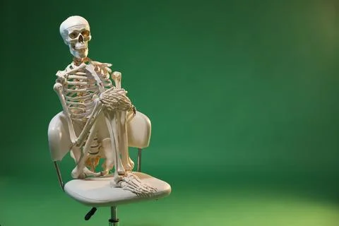 Artificial human skeleton model sitting on chair against green background, .. Stock Photos